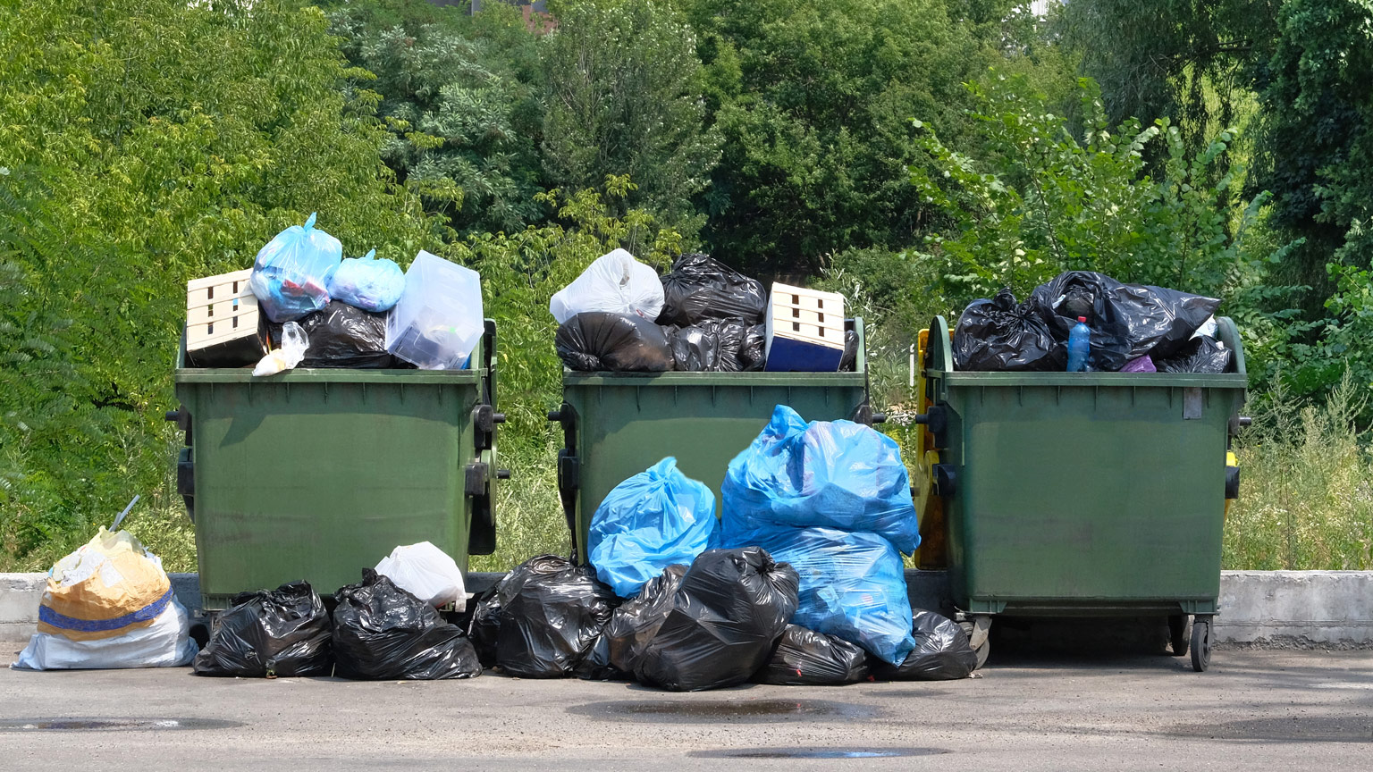 Waste lot. Квартира полная мусора. Вывоз мусора из квартиры. Остаточные отходы. Второе дыхание контейнеры.